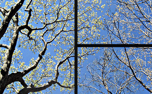 magnetresonanztherapie muenchen graefelfing